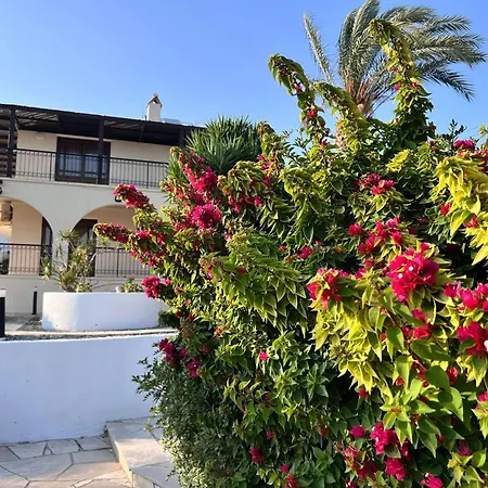 Villa Charming With Private Pool And Garden View