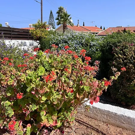 Charming With Private Pool And Garden View Villa Erimi