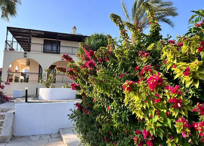 Vila Charming With Private Pool And Garden View
