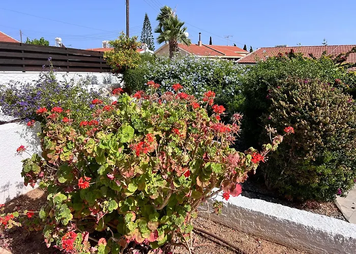 Charming With Private Pool And Garden View ヴィラ Erimi